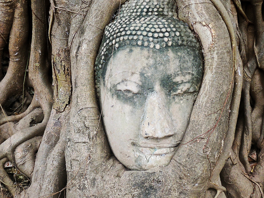 testa Buddha Ayutthaya foto più bella