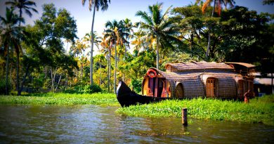 offerte viaggi Kerala India